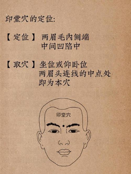 两个眉毛之间是什么穴位