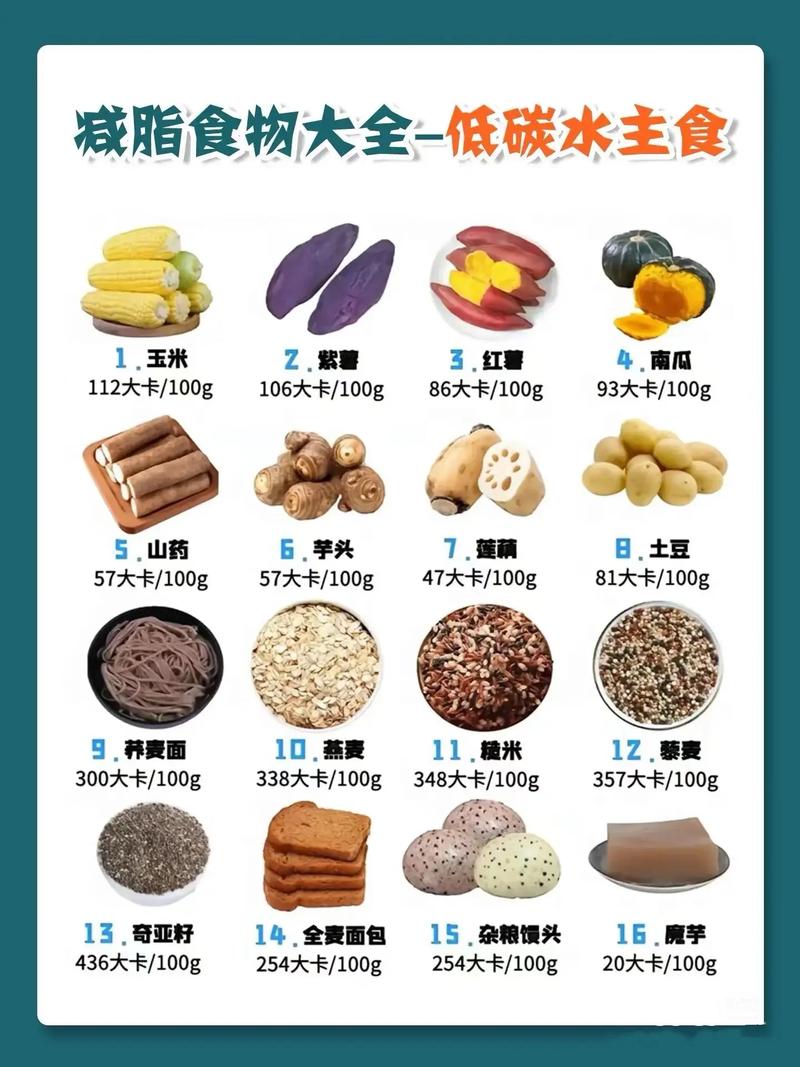 高脂肪饮食属于什么饮食