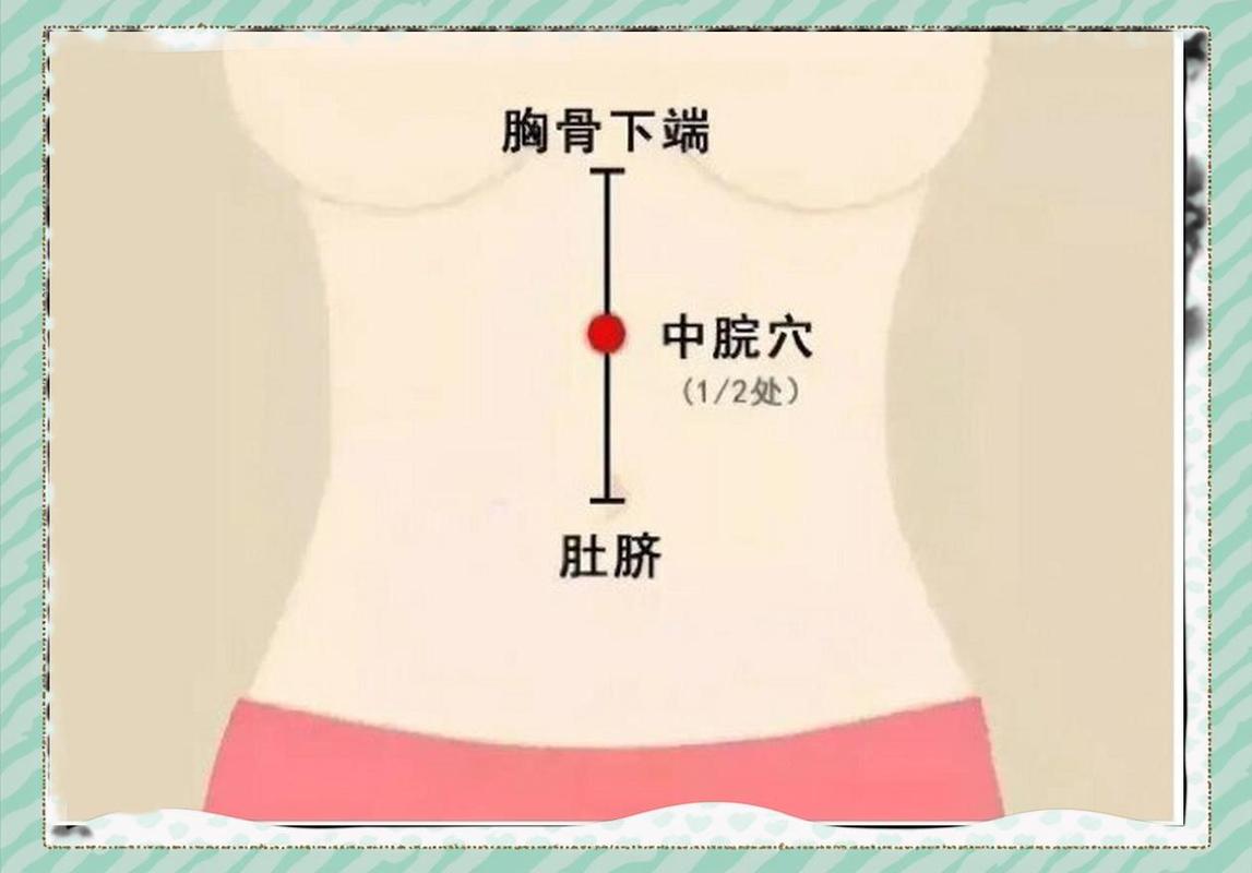 胃动力不足艾灸什么穴位