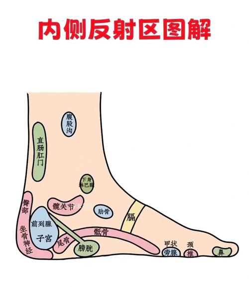 足底筋膜炎艾灸哪个穴位