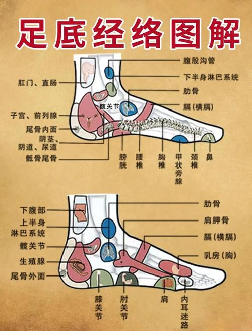 足底筋膜炎艾灸哪个穴位