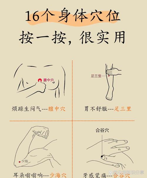 按哪个穴位可以缓解恶心