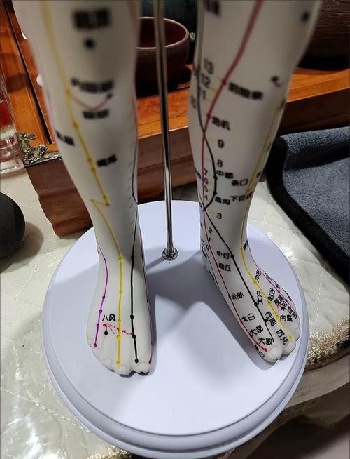 多媒体人体针灸穴位模型