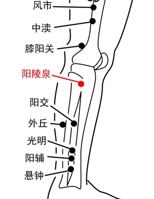 治疗风湿性关节炎的穴位