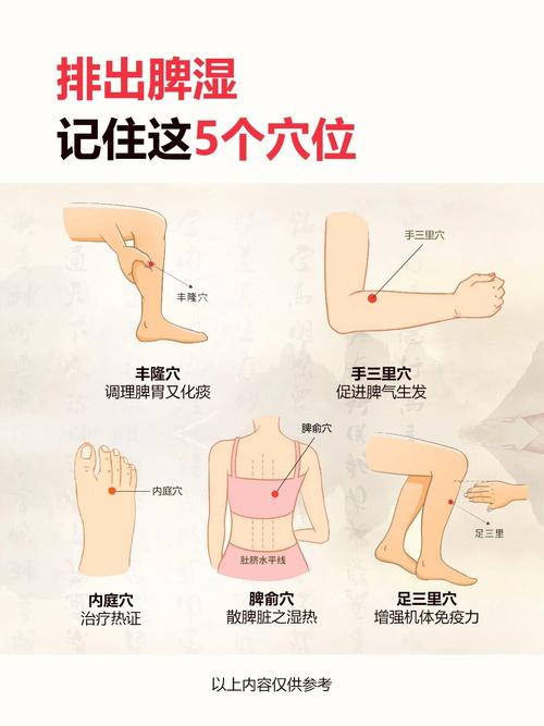 脾胃湿热艾灸哪些穴位