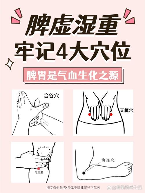 脾胃湿热艾灸哪些穴位