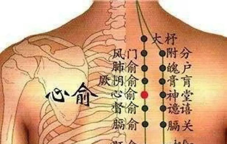 心脏房颤艾灸什么穴位