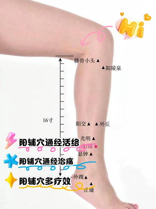 小腿冰冷艾灸哪些穴位