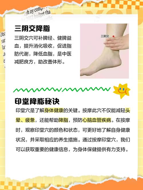 甘油三脂高 穴位