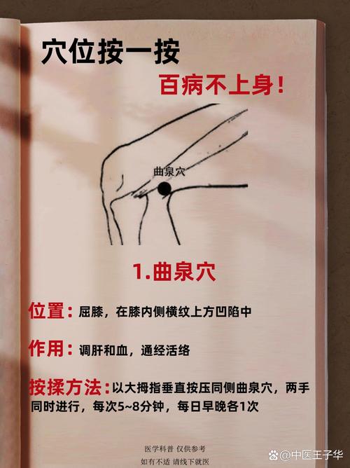 甘油三脂高 穴位