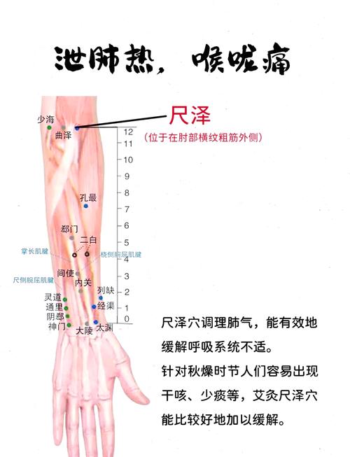 肺部保健按摩那个穴位