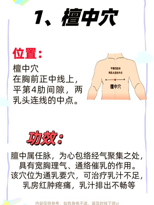 女人乳房对应面部穴位