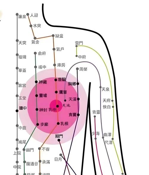 女人乳房对应面部穴位
