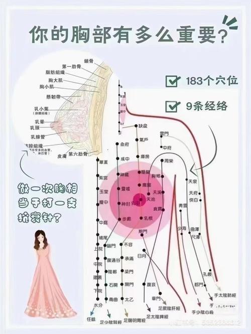女人乳房对应面部穴位