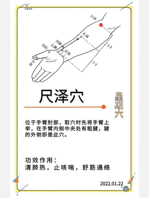 手臂外侧穴位按摩图解