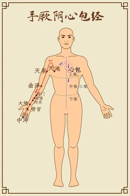手臂外侧穴位按摩图解