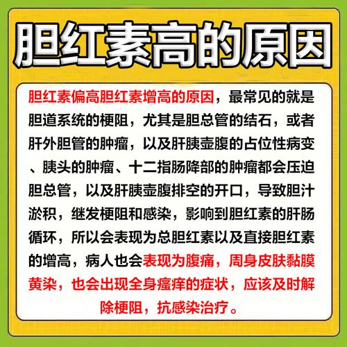 胆红素偏高饮食怎么调理
