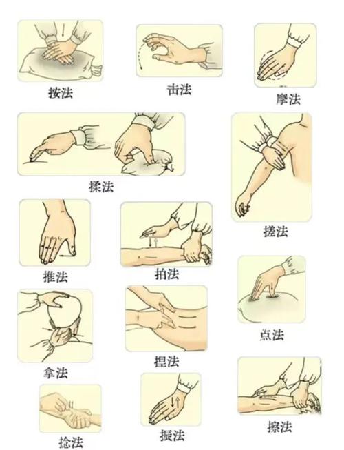 中医穴位推拿养生保健