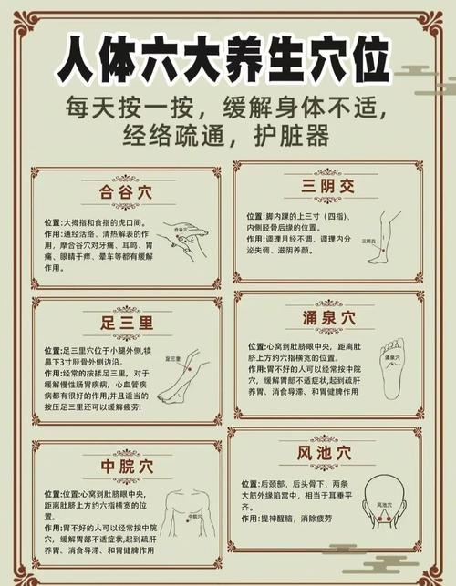 中医穴位推拿养生保健