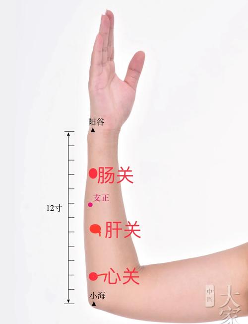 上午适合按摩什么穴位