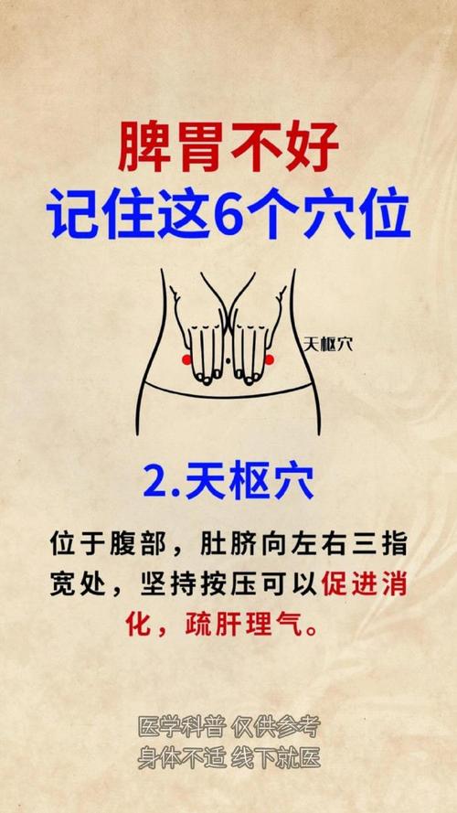 小儿调理脾胃艾灸穴位