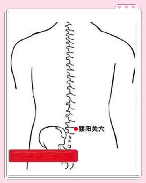 腰椎劳损按摩哪些穴位