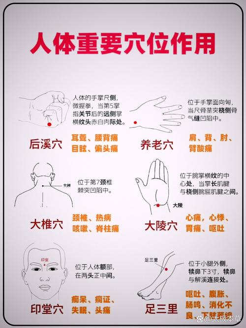 中医穴位按摩保健方法