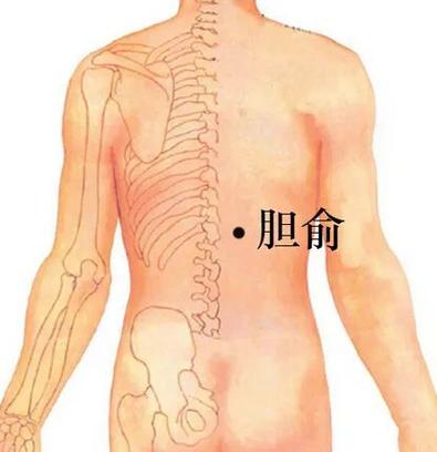 胆囊毛糙按摩哪个穴位