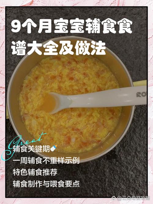 9个月的宝宝一天的饮食