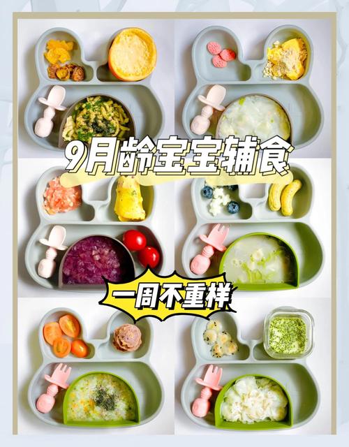 9个月的宝宝一天的饮食