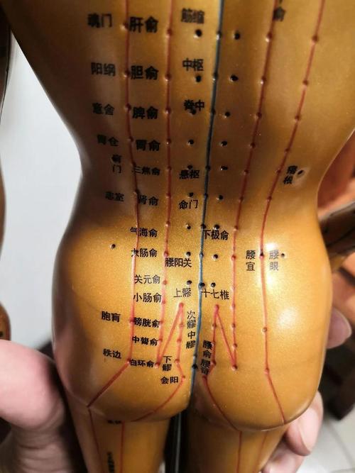 女性哪个穴位增加性欲