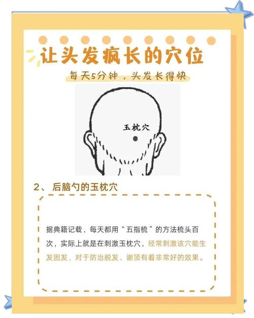 治疗脂溢性脱发的穴位