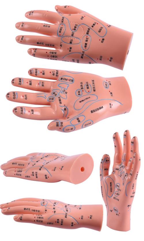 西安穴位发光模型电话