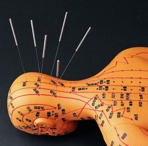 西安穴位发光模型电话