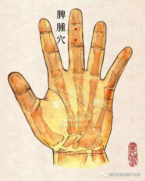 手指浮肿按摩什么穴位