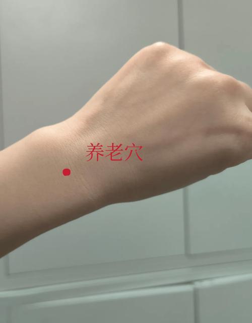 老年保健按摩主要穴位