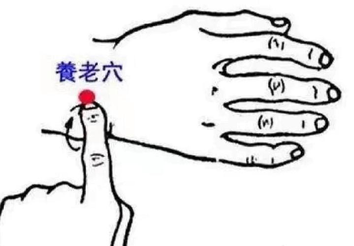 老年保健按摩主要穴位