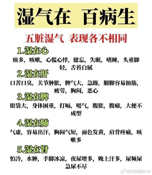 中医院看湿气重哪个科