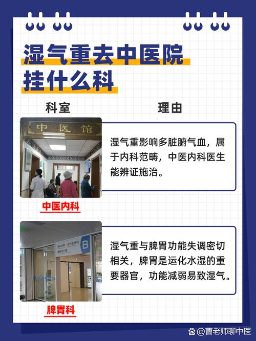 中医院看湿气重哪个科