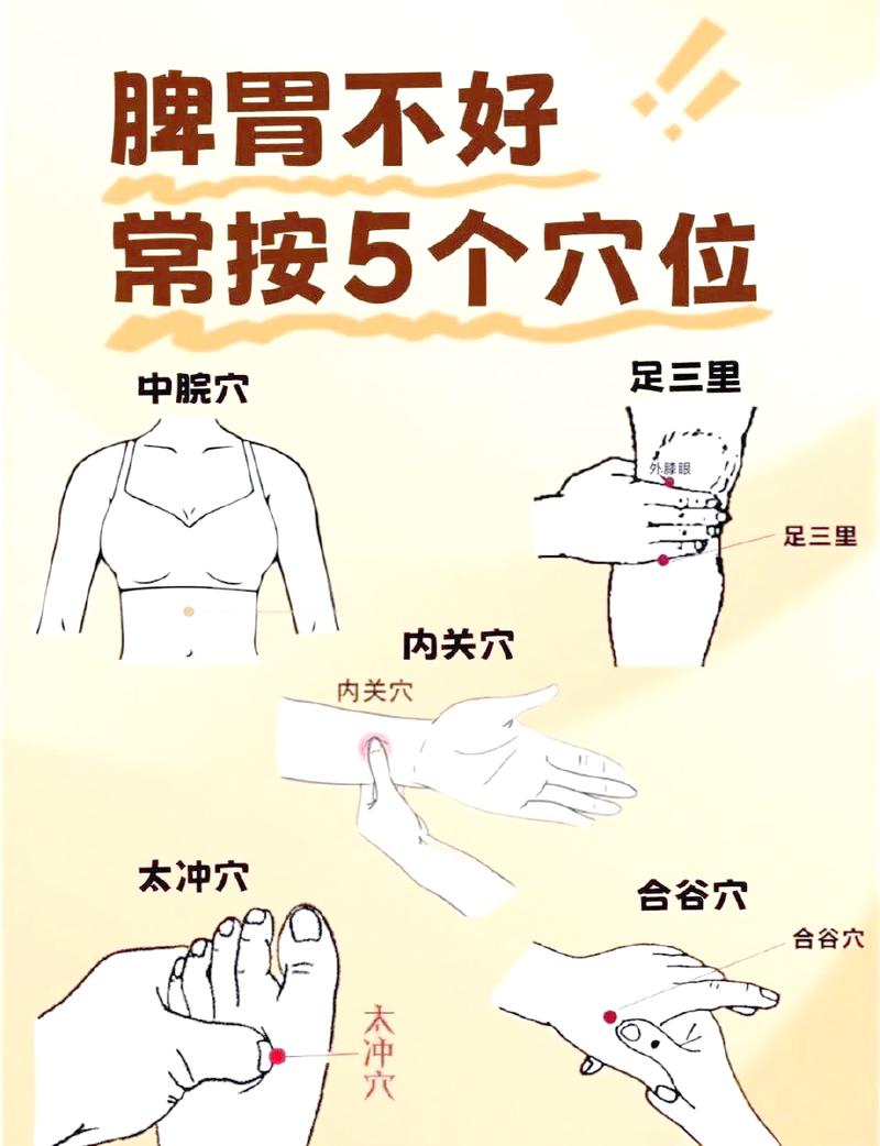 健脾养胃按摩穴位视频