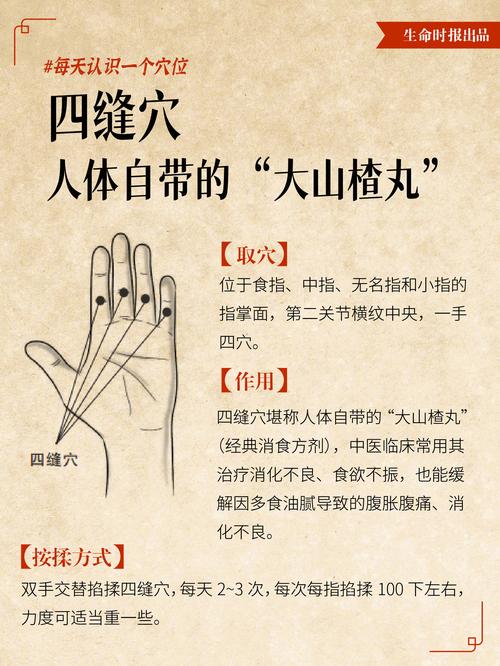 成人积食按摩哪个穴位