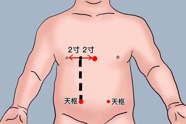 成人积食按摩哪个穴位