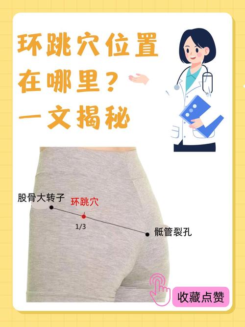 女性屁股外侧什么穴位