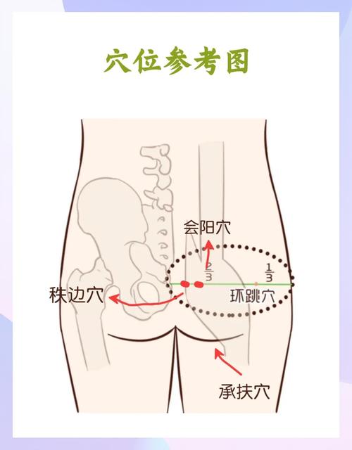女性屁股外侧什么穴位