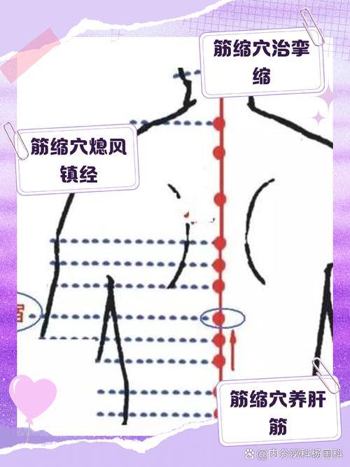 哪个穴位可以收缩毛孔