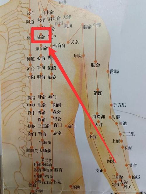 肺炎中医按摩哪个穴位