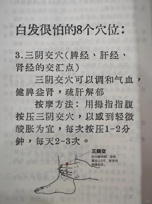 治疗白发变黑按摩穴位