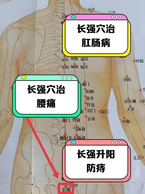 按摩什么穴位治疗痔疮