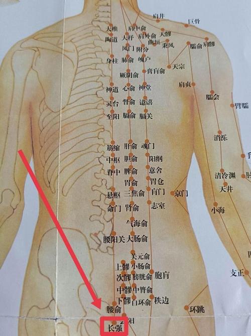 督脉 准确位置图穴位