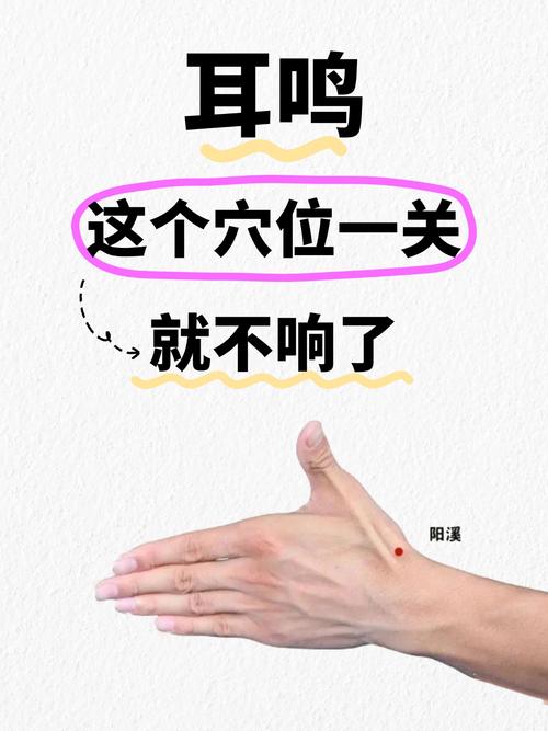 中医针灸耳呜疗法穴位